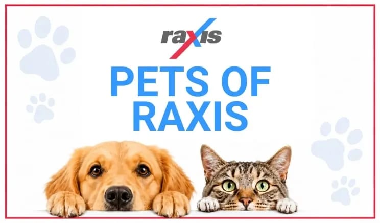 Meet the Pets of Raxis