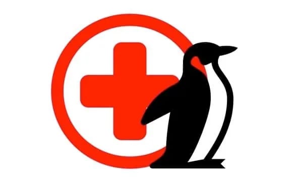 Penguin with red cross