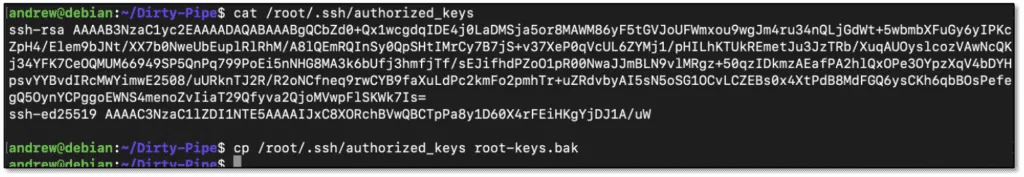Reading and backing up root’s authorized keys