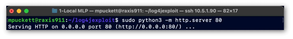 Attacker’s Python Web Server to Distribute Payload