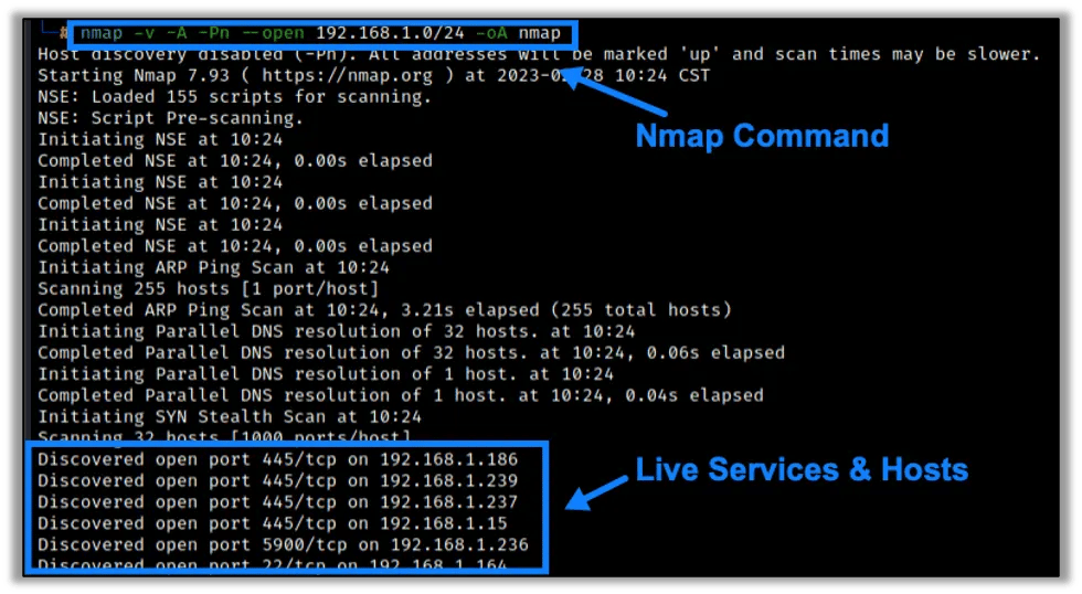 Nmap Discovery Scan