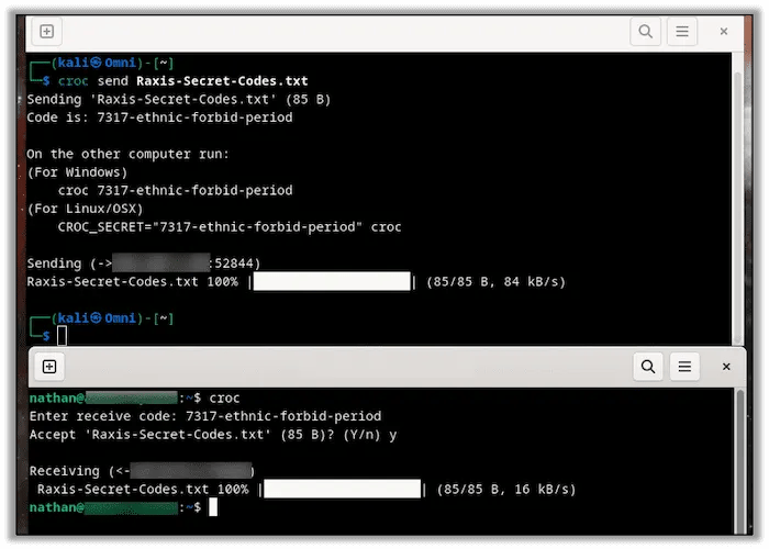 Sending and receiving a file using croc.