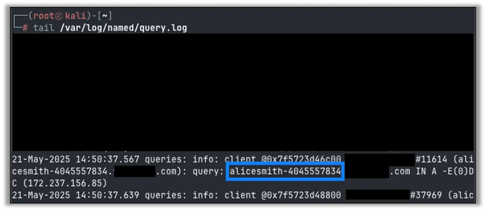 Query.log shows the data coming through to our server