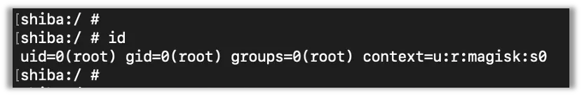 Confirming the Root Shell with the ID Command