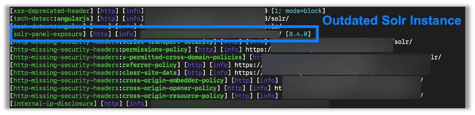 Nuclei discovering Solr panel and displaying discovered information.