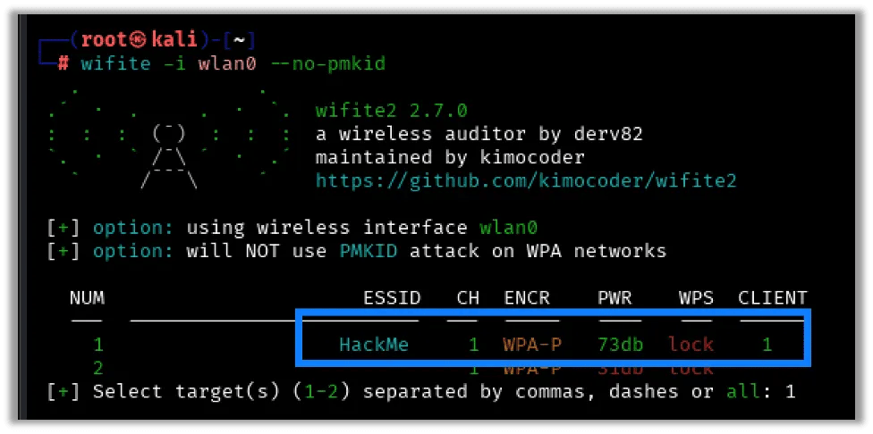 Wireless Networks