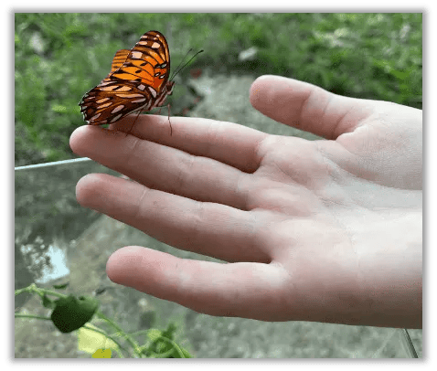 A butterfly on Caroline's hand