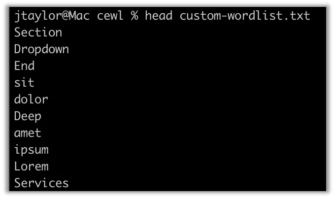 Custom wordlist CeWL creating using our website