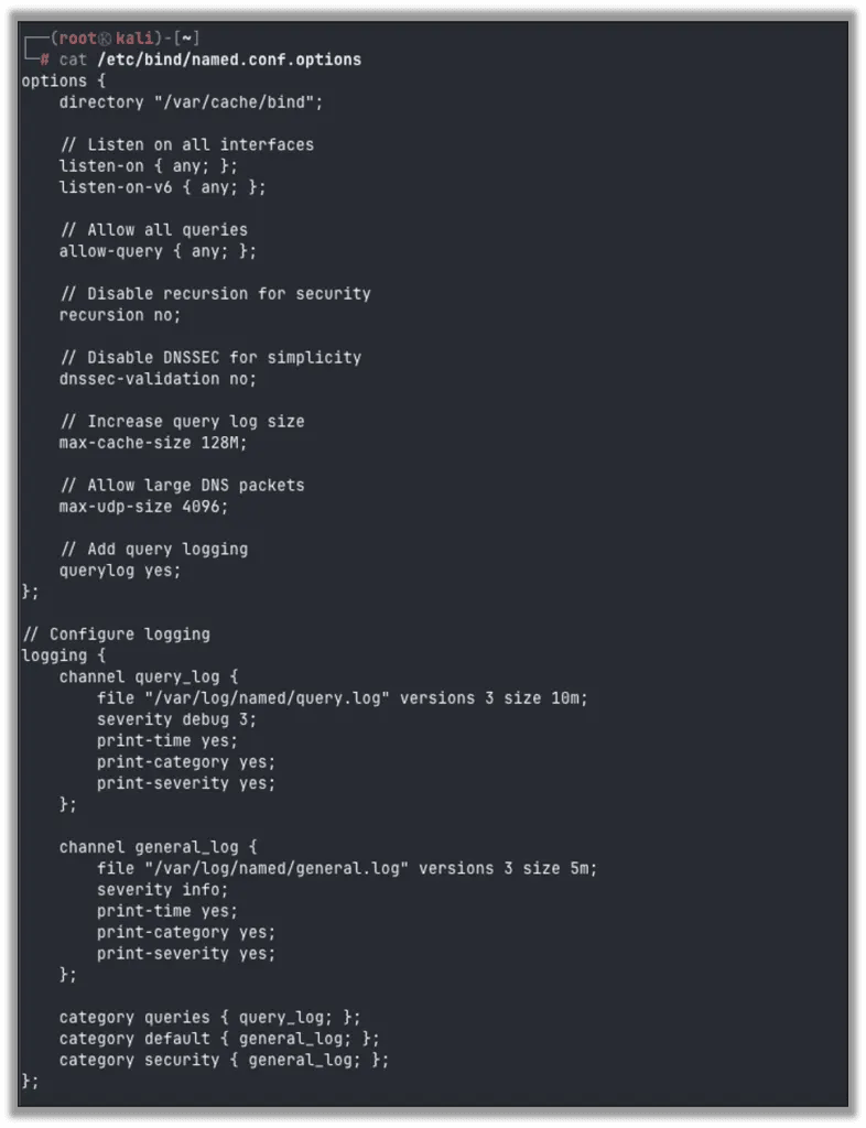 Editing /etc/bind/named.conf.options
