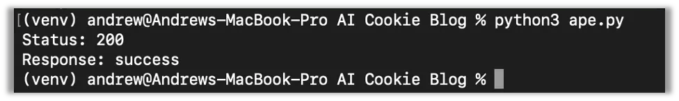 Using Venv with Python