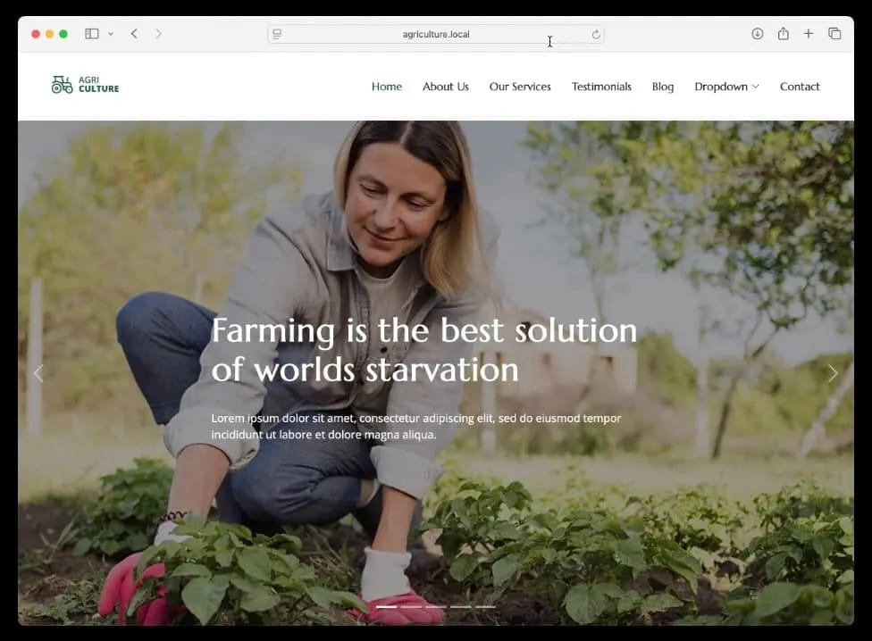 Sample local website for our test